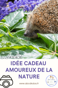 idée cadeau amoureux de la nature une caméra nocturne pour observer les animaux